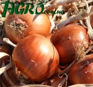 1agro.com.ua