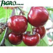 1agro.com.ua