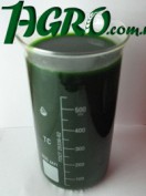 1agro.com.ua