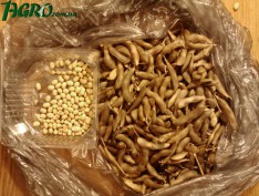 1agro.com.ua