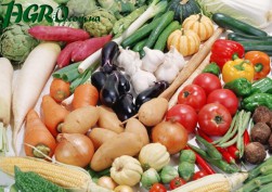 1agro.com.ua