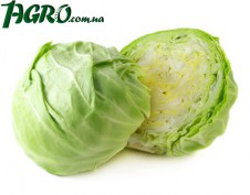 1agro.com.ua