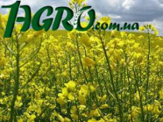 1agro.com.ua