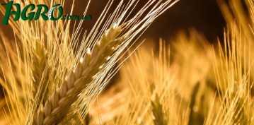 1agro.com.ua