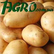1agro.com.ua