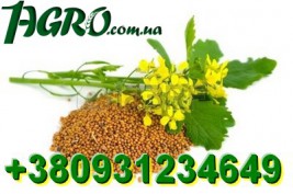 1agro.com.ua