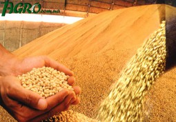 1agro.com.ua