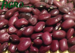 1agro.com.ua