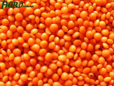 1agro.com.ua