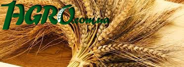 1agro.com.ua