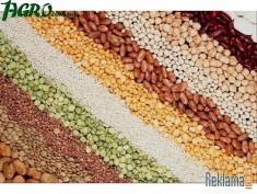 1agro.com.ua