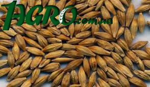 1agro.com.ua