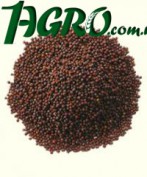 1agro.com.ua