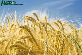 1agro.com.ua