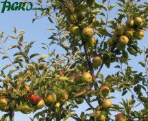 1agro.com.ua