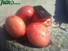 1agro.com.ua