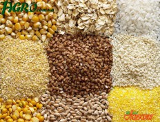 1agro.com.ua