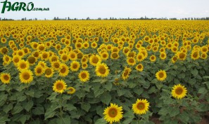 1agro.com.ua