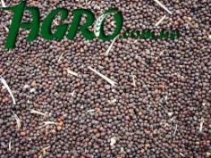 1agro.com.ua