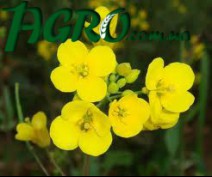1agro.com.ua