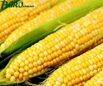 1agro.com.ua