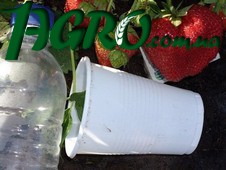 1agro.com.ua