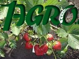 1agro.com.ua