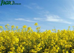 1agro.com.ua