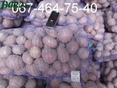 1agro.com.ua