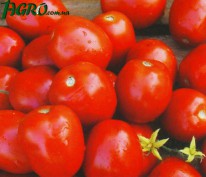 1agro.com.ua