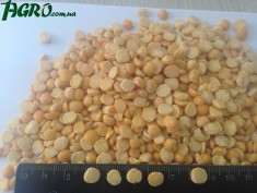 1agro.com.ua