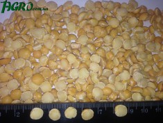 1agro.com.ua