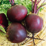 1agro.com.ua