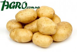 1agro.com.ua