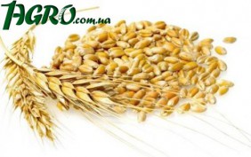 1agro.com.ua