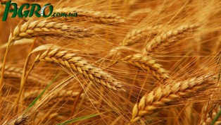1agro.com.ua