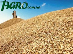1agro.com.ua