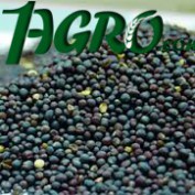 1agro.com.ua