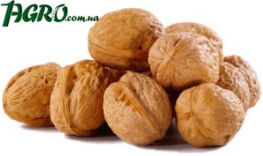 1agro.com.ua