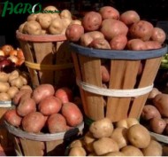 1agro.com.ua
