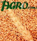 1agro.com.ua