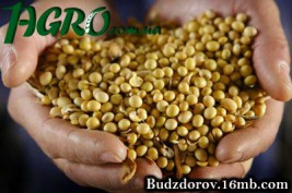 1agro.com.ua