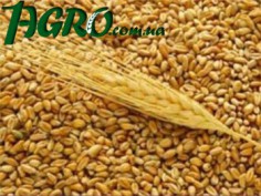 1agro.com.ua