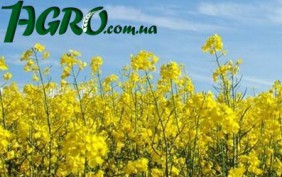 1agro.com.ua