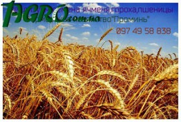 1agro.com.ua