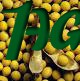 1agro.com.ua