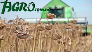 1agro.com.ua