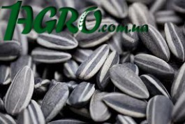 1agro.com.ua