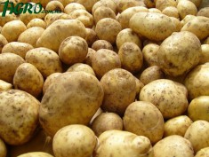 1agro.com.ua
