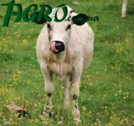 1agro.com.ua